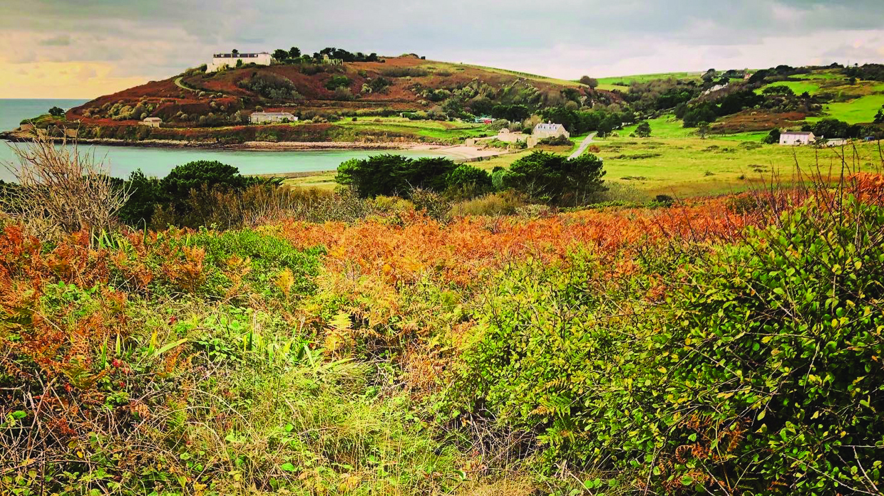 Autumn - Longis Common